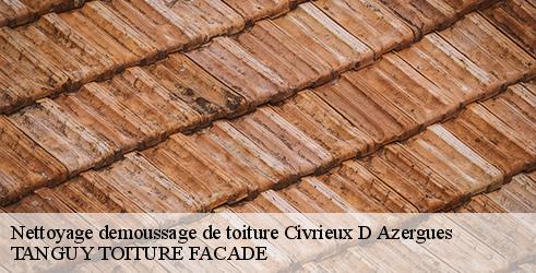 nettoyage-demoussage-de-toiture-tanguy-toiture-facade-4