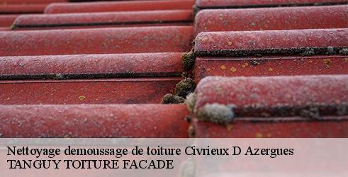 nettoyage-demoussage-de-toiture-tanguy-toiture-facade-7