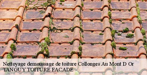 Nettoyage demoussage de toiture TANGUY TOITURE FACADE