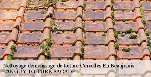 nettoyage-demoussage-de-toiture-tanguy-toiture-facade-10