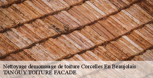 nettoyage-demoussage-de-toiture-tanguy-toiture-facade-4