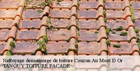 nettoyage-demoussage-de-toiture-tanguy-toiture-facade-10