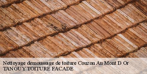 nettoyage-demoussage-de-toiture-tanguy-toiture-facade-4