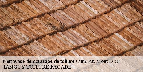 nettoyage-demoussage-de-toiture-tanguy-toiture-facade-4