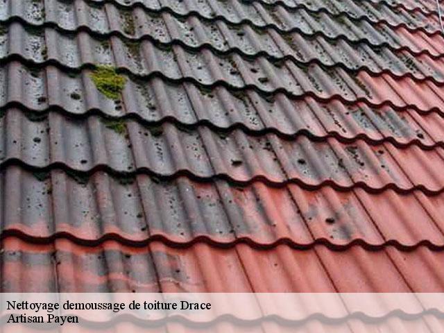 Nettoyage demoussage de toiture  drace-69220 Artisan Payen