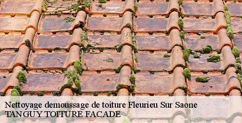 nettoyage-demoussage-de-toiture-tanguy-toiture-facade-10
