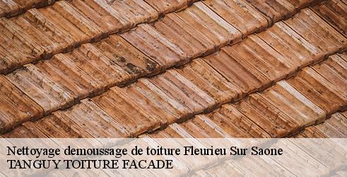 nettoyage-demoussage-de-toiture-tanguy-toiture-facade-4