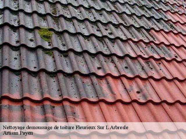 Nettoyage demoussage de toiture  fleurieux-sur-l-arbresle-69210 Artisan Payen