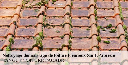 nettoyage-demoussage-de-toiture-tanguy-toiture-facade-10