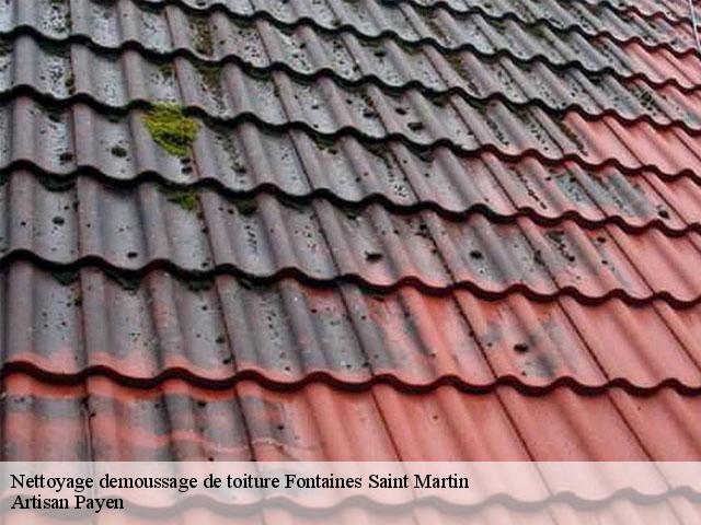 Nettoyage demoussage de toiture  fontaines-saint-martin-69270 Artisan Payen