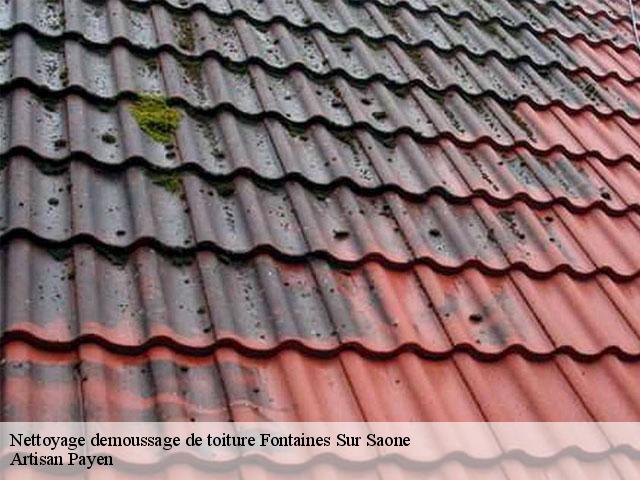Nettoyage demoussage de toiture  fontaines-sur-saone-69270 Artisan Payen