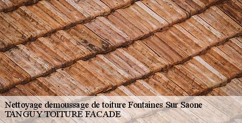 nettoyage-demoussage-de-toiture-tanguy-toiture-facade-4