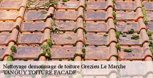nettoyage-demoussage-de-toiture-tanguy-toiture-facade-10