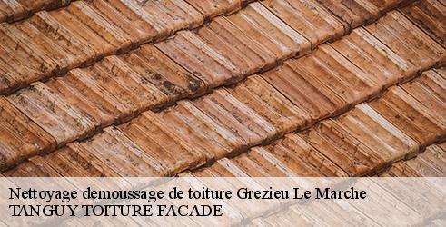 nettoyage-demoussage-de-toiture-tanguy-toiture-facade-4