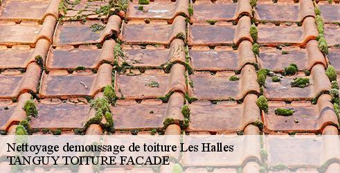 Nettoyage demoussage de toiture TANGUY TOITURE FACADE