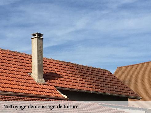 Nettoyage demoussage de toiture lamure-sur-azergues-69870 BOUNACH Couverture