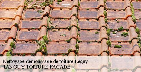 nettoyage-demoussage-de-toiture-tanguy-toiture-facade-10