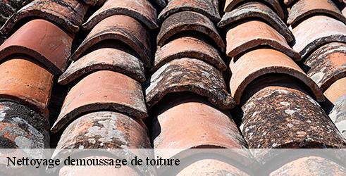 nettoyage-demoussage-de-toiture-tanguy-toiture-facade-9