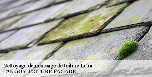 nettoyage-demoussage-de-toiture-tanguy-toiture-facade-1
