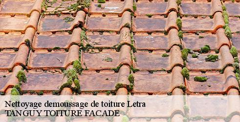 nettoyage-demoussage-de-toiture-tanguy-toiture-facade-10
