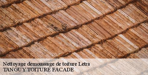 nettoyage-demoussage-de-toiture-tanguy-toiture-facade-4