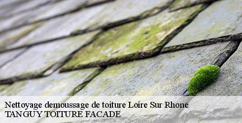 nettoyage-demoussage-de-toiture-tanguy-toiture-facade-1