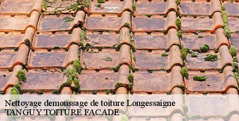 nettoyage-demoussage-de-toiture-tanguy-toiture-facade-10