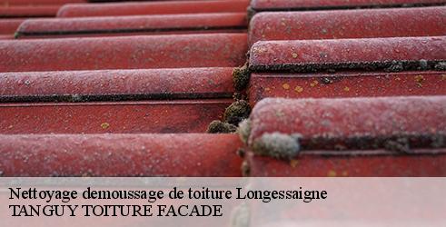 nettoyage-demoussage-de-toiture-tanguy-toiture-facade-7