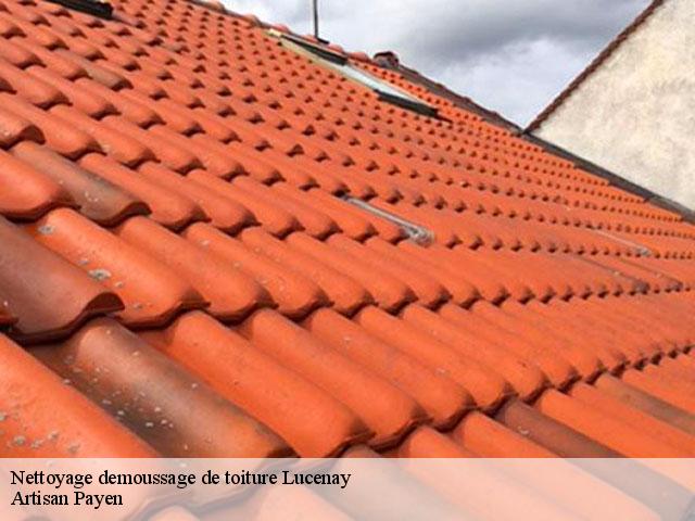 Nettoyage demoussage de toiture  lucenay-69480 Artisan Payen