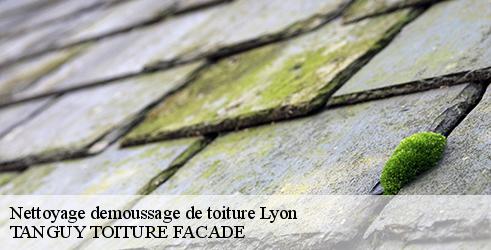nettoyage-demoussage-de-toiture-tanguy-toiture-facade-1