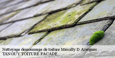 nettoyage-demoussage-de-toiture-tanguy-toiture-facade-1