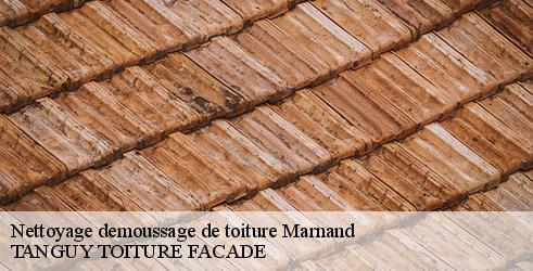 nettoyage-demoussage-de-toiture-tanguy-toiture-facade-4