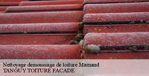nettoyage-demoussage-de-toiture-tanguy-toiture-facade-7