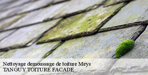 nettoyage-demoussage-de-toiture-tanguy-toiture-facade-1