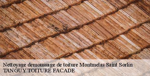 nettoyage-demoussage-de-toiture-tanguy-toiture-facade-4
