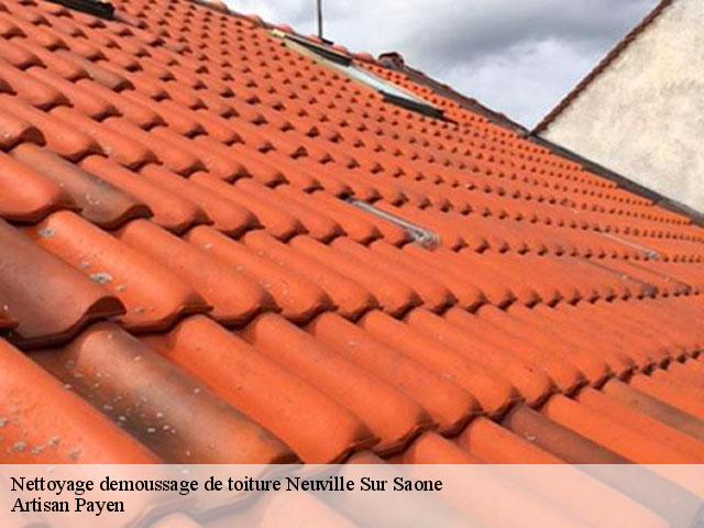 Nettoyage demoussage de toiture  neuville-sur-saone-69250 Artisan Payen