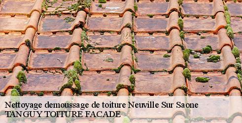 nettoyage-demoussage-de-toiture-tanguy-toiture-facade-10