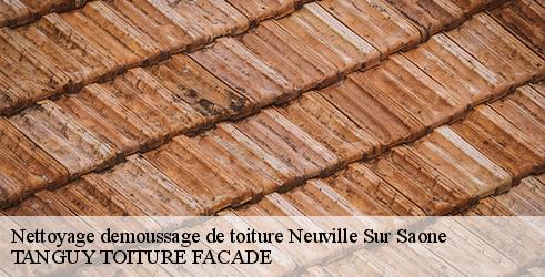 nettoyage-demoussage-de-toiture-tanguy-toiture-facade-4