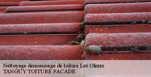 nettoyage-demoussage-de-toiture-tanguy-toiture-facade-7