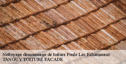 nettoyage-demoussage-de-toiture-tanguy-toiture-facade-4