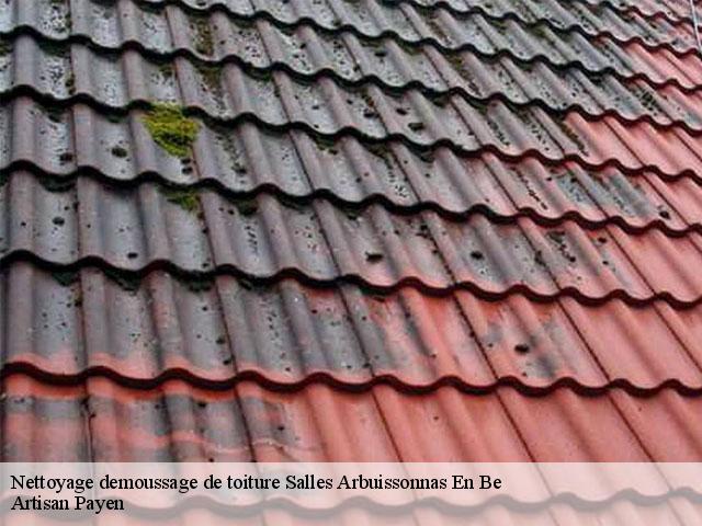 Nettoyage demoussage de toiture  salles-arbuissonnas-en-be-69460 Artisan Payen