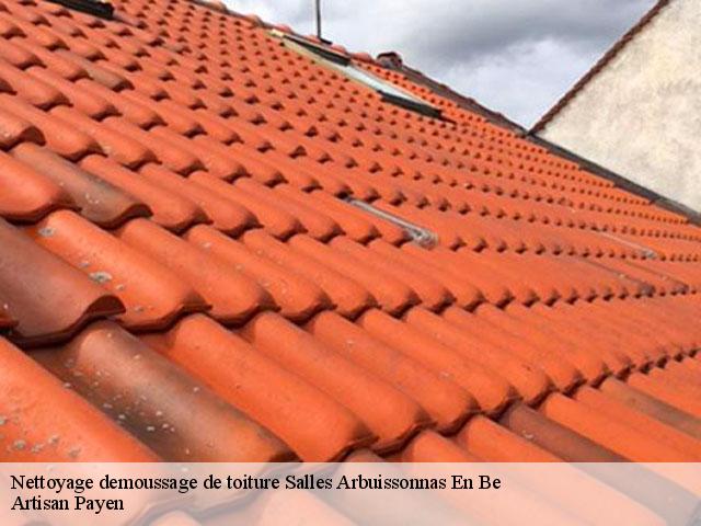 Nettoyage demoussage de toiture  salles-arbuissonnas-en-be-69460 Artisan Payen