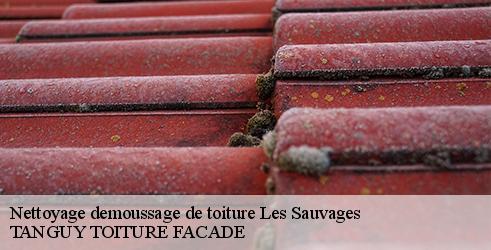 nettoyage-demoussage-de-toiture-tanguy-toiture-facade-7