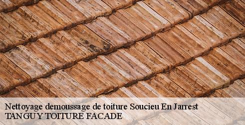 nettoyage-demoussage-de-toiture-tanguy-toiture-facade-4