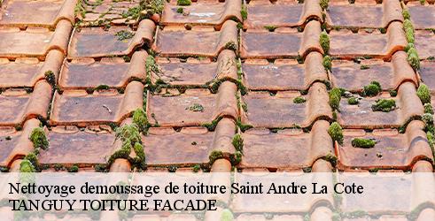 nettoyage-demoussage-de-toiture-tanguy-toiture-facade-10