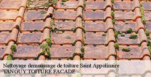nettoyage-demoussage-de-toiture-tanguy-toiture-facade-10