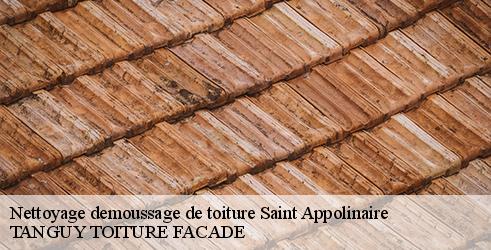 nettoyage-demoussage-de-toiture-tanguy-toiture-facade-4