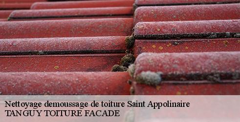 nettoyage-demoussage-de-toiture-tanguy-toiture-facade-7