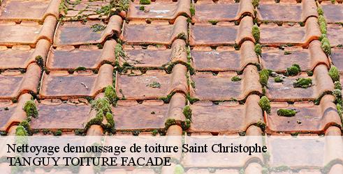 nettoyage-demoussage-de-toiture-tanguy-toiture-facade-10