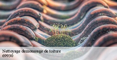 nettoyage-demoussage-de-toiture-tanguy-toiture-facade-2
